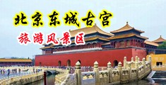 帅哥的鸡巴操美女网站中国北京-东城古宫旅游风景区